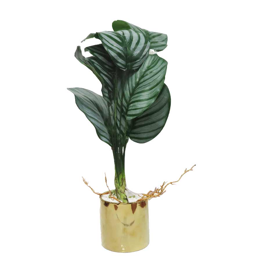 Planta Artificial Con Macetero 40X9.5Cm Mia-20746