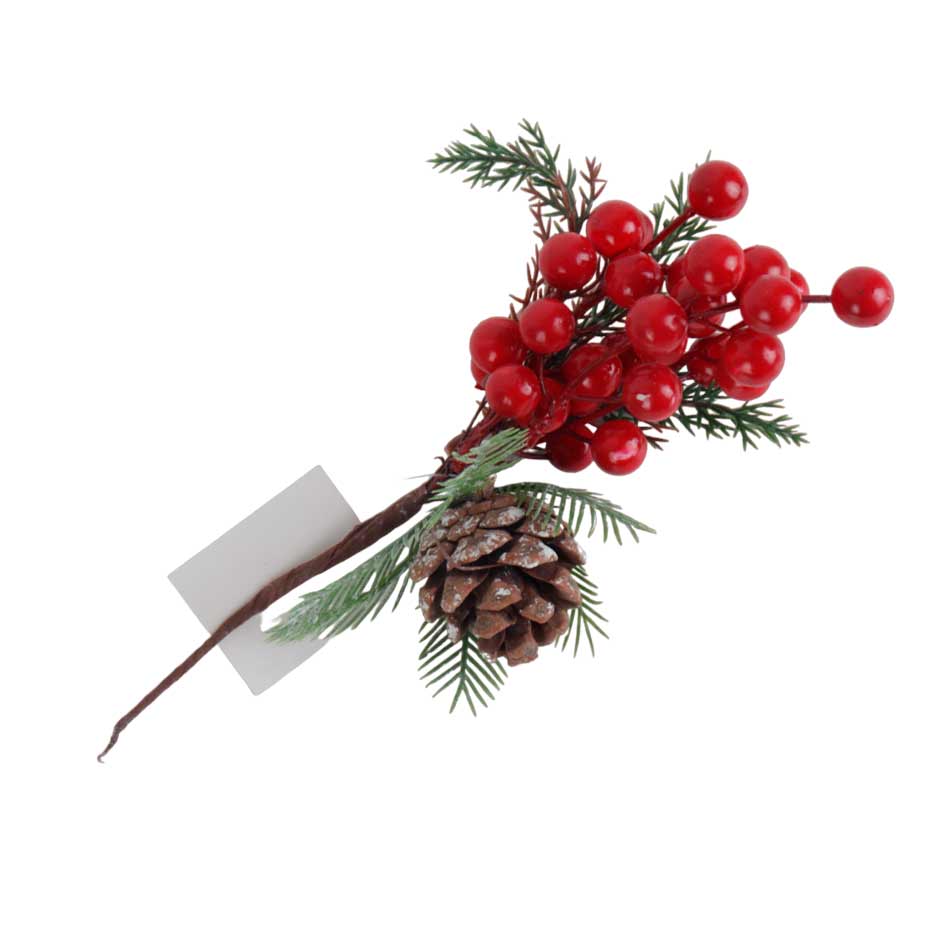 Rama Acebo C/Piña Mia11130