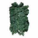 Follaje 6M Mia-6244 / Big-6244