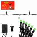 Luces Navidad Led Bombillo 100L Verde Mia-7021V