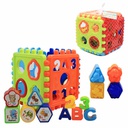 Cubo Didactico Armable Con Figura 38 Piezas | 1623A
