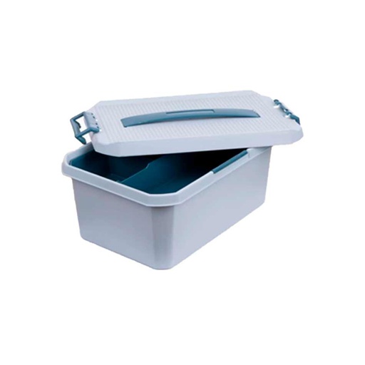 [1700237] Caja Organizadora C/Div Big-20584