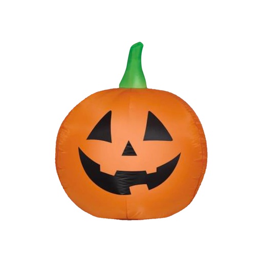 [6500218] Inflabel F/Calaza 110Cm Mia-10385