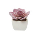 Planta Artificial 10X5.5Cm Big-20308