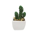 Planta Artificial 10X5.5Cm Big-20309