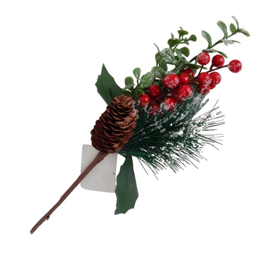 [6202454] Rama De Acebo C/Piña Mia11128