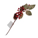 Rama De Acebo C/Piña Mia11129