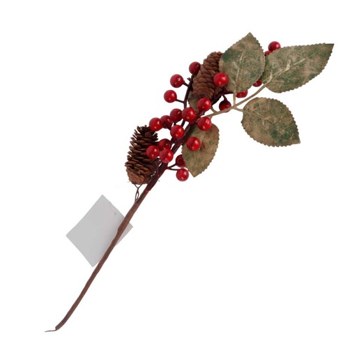 [6202455] Rama De Acebo C/Piña Mia11129