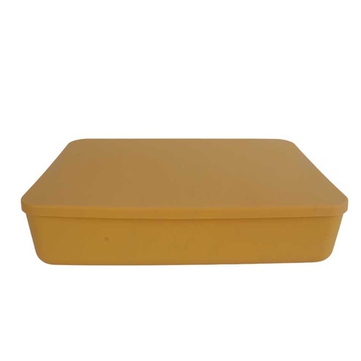 [1702010] Caja Plástica Con Tapa Cuad Mia-12600